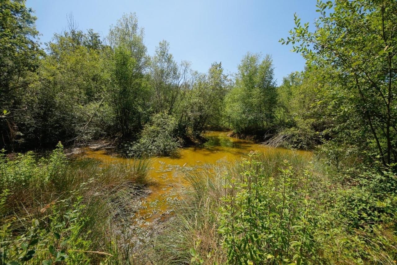 Domaine La Faix, Gite La Forestiere Saint-Plaisir Εξωτερικό φωτογραφία