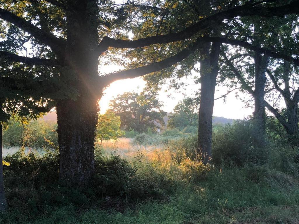 Domaine La Faix, Gite La Forestiere Saint-Plaisir Εξωτερικό φωτογραφία